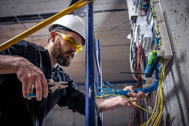 Best Home Electrical Repair  in Steger, IL