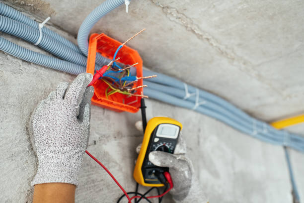 Best Electrical System Inspection  in Steger, IL